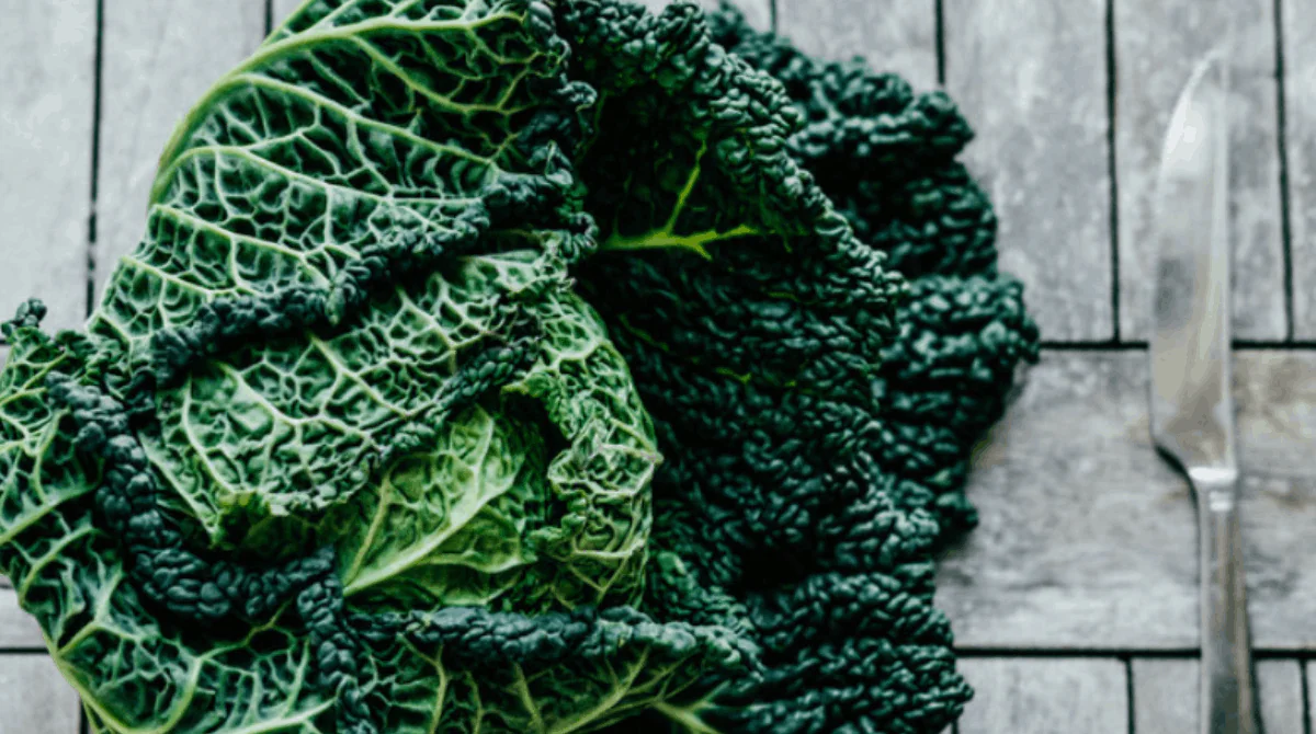 Cavolo nero come prepararlo