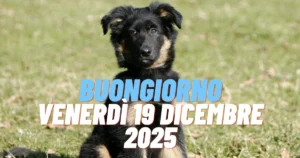 Buongiorno Venerdì 19 Dicembre 2025: frasi da condividere con amici e parenti via Whatsapp